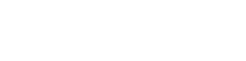 Reisemieze